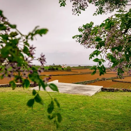 Casa Dos Calcos São Mateus
